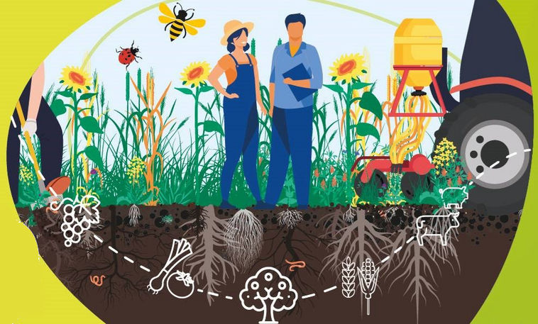 Soilsâ€™ Day in Pays de la Loire Region